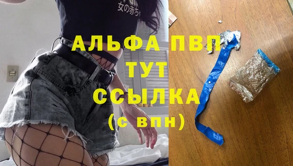 амф Аркадак