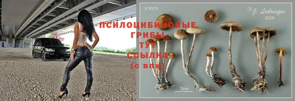 амф Аркадак